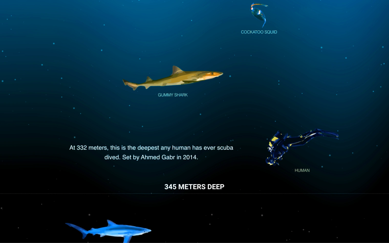 The Deep Sea interactive ocean-depth visualization on Neal.fun